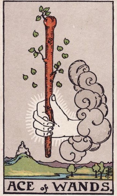 Ace of Wands